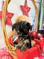 processed/b5363384-38d5-48f2-8b6f-9503981afe1f/listing/9e360f57-3fe7-4fc3-b7df-6243c5293d24/2625af49-27bb-4360-ab44-2aecf7f7cfda