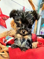 processed/b5363384-38d5-48f2-8b6f-9503981afe1f/listing/9e360f57-3fe7-4fc3-b7df-6243c5293d24/2fb9d8da-98cd-4f1f-9cae-fc086f460a72