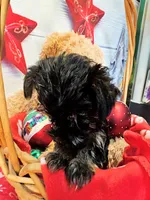 processed/b5363384-38d5-48f2-8b6f-9503981afe1f/listing/9e360f57-3fe7-4fc3-b7df-6243c5293d24/490967c9-3264-4ca3-afc5-82a4d0f4e0bc