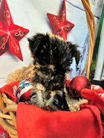 processed/b5363384-38d5-48f2-8b6f-9503981afe1f/listing/9e360f57-3fe7-4fc3-b7df-6243c5293d24/5539f6a3-0712-49fa-9863-99744b01c011