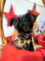 processed/b5363384-38d5-48f2-8b6f-9503981afe1f/listing/9e360f57-3fe7-4fc3-b7df-6243c5293d24/db826c00-b73f-4bfa-aebe-ad17028f0068