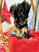 processed/b5363384-38d5-48f2-8b6f-9503981afe1f/listing/9e360f57-3fe7-4fc3-b7df-6243c5293d24/e6aaf7d6-ac1b-450f-9386-3448c2b0c64f