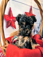 processed/b5363384-38d5-48f2-8b6f-9503981afe1f/listing/9e360f57-3fe7-4fc3-b7df-6243c5293d24/f52fc411-431c-461b-95be-e4e33c0c6470