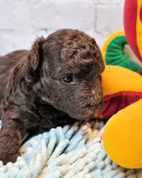 processed/b5363384-38d5-48f2-8b6f-9503981afe1f/listing/e119f57b-270f-40d3-b59c-f9e0d314faeb/1a169cda-9cc1-476f-8bad-6020dda24675