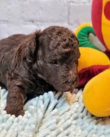 processed/b5363384-38d5-48f2-8b6f-9503981afe1f/listing/e119f57b-270f-40d3-b59c-f9e0d314faeb/2da80e42-bc05-49a2-9912-c8d27a768314