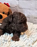 processed/b5363384-38d5-48f2-8b6f-9503981afe1f/listing/e119f57b-270f-40d3-b59c-f9e0d314faeb/2fddadb6-8cd7-4571-b8c2-c221d71a9a34