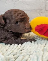 processed/b5363384-38d5-48f2-8b6f-9503981afe1f/listing/e119f57b-270f-40d3-b59c-f9e0d314faeb/63208084-c80d-41cf-8970-e6d9f4042b75