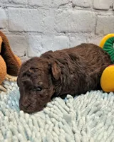 processed/b5363384-38d5-48f2-8b6f-9503981afe1f/listing/e119f57b-270f-40d3-b59c-f9e0d314faeb/b1fd53e9-2ed6-49de-94a0-0d73d6e054bf