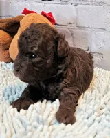 processed/b5363384-38d5-48f2-8b6f-9503981afe1f/listing/e119f57b-270f-40d3-b59c-f9e0d314faeb/cbd36608-a80e-4dd3-9ae3-a997c11da062