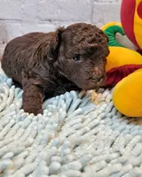 processed/b5363384-38d5-48f2-8b6f-9503981afe1f/listing/e119f57b-270f-40d3-b59c-f9e0d314faeb/de3a68b6-64a1-4d93-88e8-6eb195eaca26