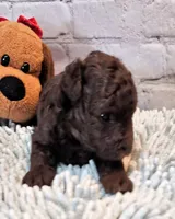 processed/b5363384-38d5-48f2-8b6f-9503981afe1f/listing/e119f57b-270f-40d3-b59c-f9e0d314faeb/dfc0aa0a-1a2f-48f2-a6dd-c6efe089198b