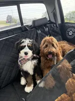 processed/b536dace-27f4-449c-b93c-3fa277659861/facility/00aba5ba-cf39-40dc-866c-3266f1044842