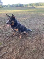 processed/b537d3c8-9515-4a6f-a672-bc04a8cc615d/listing/2e2d435a-7283-4f3c-a1e2-d8922c02a37e/4577f43a-529f-46bc-9c80-af9b4a9809d1