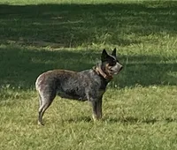 processed/b537d3c8-9515-4a6f-a672-bc04a8cc615d/listing/2e2d435a-7283-4f3c-a1e2-d8922c02a37e/b7e28edd-ee85-4d5f-9edf-4bb33047272b