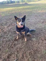 processed/b537d3c8-9515-4a6f-a672-bc04a8cc615d/listing/2e2d435a-7283-4f3c-a1e2-d8922c02a37e/f3191d51-38a4-48d8-9d9b-8d4b4bfd5669