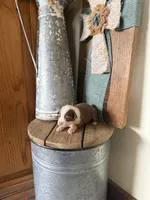 Reba, a female Miniature Australian Shepherd for sale in Stockdale, TX – Photo 2 of 2