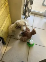 processed/b537d3c8-9515-4a6f-a672-bc04a8cc615d/listing/3c90e3d6-459a-474b-bb2d-4d86afbb1ba5/01d273a9-6ae5-4abb-9529-ade6c874f99b