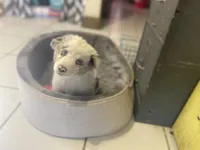 processed/b537d3c8-9515-4a6f-a672-bc04a8cc615d/listing/3c90e3d6-459a-474b-bb2d-4d86afbb1ba5/75b0c052-2e25-4887-81ba-bb95f0eb0ab9