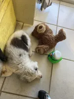 processed/b537d3c8-9515-4a6f-a672-bc04a8cc615d/listing/3c90e3d6-459a-474b-bb2d-4d86afbb1ba5/7ef97fe9-3591-475b-91df-9ac069ff1b45