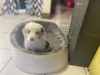 processed/b537d3c8-9515-4a6f-a672-bc04a8cc615d/listing/3c90e3d6-459a-474b-bb2d-4d86afbb1ba5/bf2295c2-2bb5-42cd-98bf-bb4cd18960c1