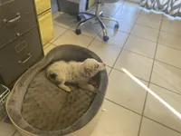 processed/b537d3c8-9515-4a6f-a672-bc04a8cc615d/listing/3c90e3d6-459a-474b-bb2d-4d86afbb1ba5/eeb7d068-d6a2-4669-8c89-828de0530195