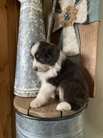 processed/b537d3c8-9515-4a6f-a672-bc04a8cc615d/listing/9877a719-9b1e-4e33-96a6-a6ec63c32c38/f2e0907c-1ac3-4ed9-98b7-9b6db8f29871