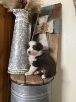 processed/b537d3c8-9515-4a6f-a672-bc04a8cc615d/listing/e9b37363-3b4e-4296-9906-46a6a69d4633/f8c01d5d-8166-4be7-8c85-d4aedd672cc4