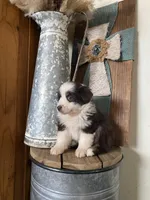 processed/b537d3c8-9515-4a6f-a672-bc04a8cc615d/listing/e9b37363-3b4e-4296-9906-46a6a69d4633/ffbc21b1-0736-4ccd-bd75-97b350e039d6