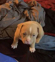 processed/b53fa500-2482-4725-ba1e-1c780fa4c371/listing/df499828-4c2c-4985-a214-1fab286be416/e9950f2e-b11b-44d8-8025-d650efaa3955