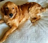 processed/b54938f6-374e-4ddb-9c06-78e86b1a14ee/facility/06a08cdd-34a2-496a-a4b7-76a56ca17d91