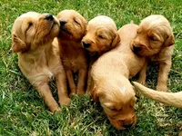 processed/b54938f6-374e-4ddb-9c06-78e86b1a14ee/facility/2bb51fc4-60ca-4f18-b309-caaa242fdb27