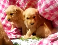 processed/b54938f6-374e-4ddb-9c06-78e86b1a14ee/facility/57e6cf31-b0e1-4f16-9746-b0f16bfb1af0