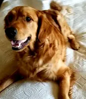 processed/b54938f6-374e-4ddb-9c06-78e86b1a14ee/facility/6f112211-1d96-4d70-9db4-170d63cc2924