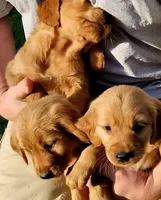 processed/b54938f6-374e-4ddb-9c06-78e86b1a14ee/facility/bff865d0-1400-440e-83db-588afe5009d0