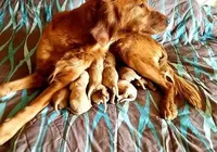 processed/b54938f6-374e-4ddb-9c06-78e86b1a14ee/facility/c52a1dba-2047-47b9-8af1-97f29bca07d2