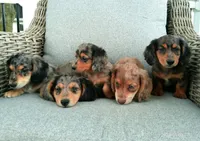 processed/b54c40bb-35eb-4a72-b737-c640e917d0a1/facility/c40ef6b1-c9c8-4202-9969-9816b47c34d9