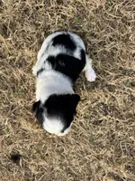 processed/b54ee067-dce1-4251-a74c-69f9e4a8aa47/listing/7d8ebb65-7bfe-40f0-894c-b9aab868e92e/17a4a8b5-b729-4a3b-ac22-c27f32741c64