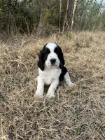 processed/b54ee067-dce1-4251-a74c-69f9e4a8aa47/listing/7d8ebb65-7bfe-40f0-894c-b9aab868e92e/3b1de3b7-426b-4a89-9192-31d44dcc8b77