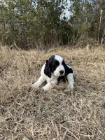 processed/b54ee067-dce1-4251-a74c-69f9e4a8aa47/listing/7d8ebb65-7bfe-40f0-894c-b9aab868e92e/6fa84d65-dd0f-4789-9604-e78b6e0dce44