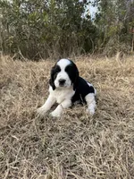 processed/b54ee067-dce1-4251-a74c-69f9e4a8aa47/listing/7d8ebb65-7bfe-40f0-894c-b9aab868e92e/ef0dcf68-ded5-458d-a95c-bac043b3cb48