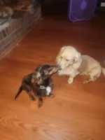 processed/b5504a2d-1a34-4da2-8d59-2de9f92b9de4/facility/00387909-bcd4-4502-a12a-a702b32576fd