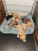 processed/b5504a2d-1a34-4da2-8d59-2de9f92b9de4/facility/072d4aa0-27a1-46e5-8119-6ec0b2c7d3fe