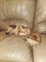 processed/b5504a2d-1a34-4da2-8d59-2de9f92b9de4/facility/422ee686-a19a-4e9d-b9b6-4095cf6cf9b7