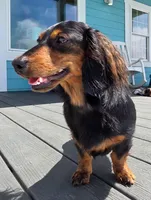 processed/b5504a2d-1a34-4da2-8d59-2de9f92b9de4/facility/5443695e-9645-4675-a1f6-f9b678aa7d35