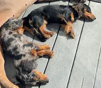 processed/b5504a2d-1a34-4da2-8d59-2de9f92b9de4/facility/5a7daef2-068f-4be4-8dd5-fa4920deb851