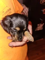 processed/b5504a2d-1a34-4da2-8d59-2de9f92b9de4/facility/9c5c0f7e-8587-4443-b1c8-7500d9a3af36