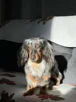 processed/b5504a2d-1a34-4da2-8d59-2de9f92b9de4/facility/f2e90486-36fd-4935-bcad-b23c16dab61d