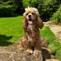 processed/b5532e8e-36a6-40e0-9840-dc4996fa709b/facility/3289a81f-4bb9-4094-9cd1-4a94c9552bcd