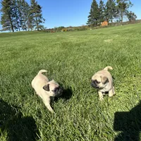 processed/b5532e8e-36a6-40e0-9840-dc4996fa709b/facility/40737899-6354-4122-8445-78ce5e3c30f4