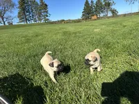 processed/b5532e8e-36a6-40e0-9840-dc4996fa709b/facility/40737899-6354-4122-8445-78ce5e3c30f4